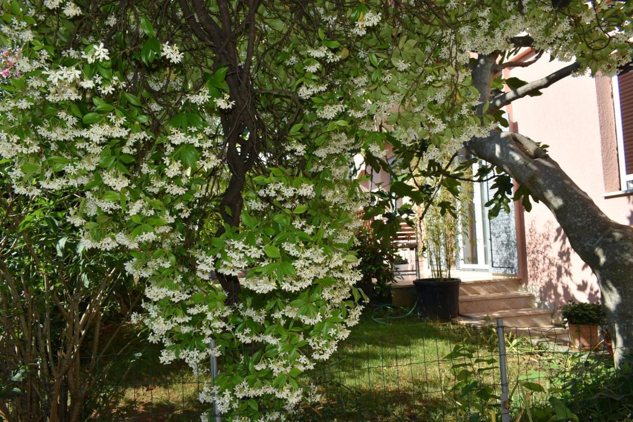Studio Max Rovinj Exterior foto